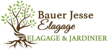 Bauer Jesse élagage